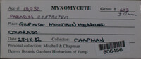 Image Associated With the Occurence